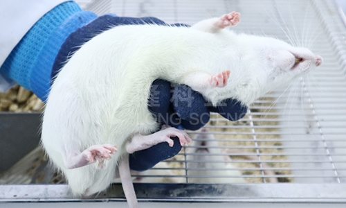 动物麻醉有哪些方法？麻醉时应注意什么事项？