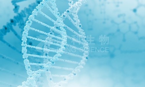 为什么要测荧光定量PCR？