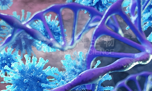 蛋白纯化：解读生命活动的关键步骤