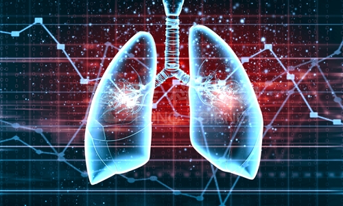 肺纤维化模型的动物选择