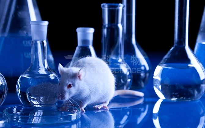 动物模型构建在疾病治疗和药物研发中的关键角色