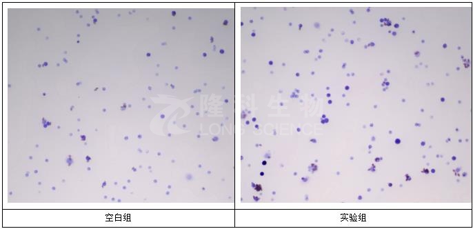 保健品功能评价实验服务
