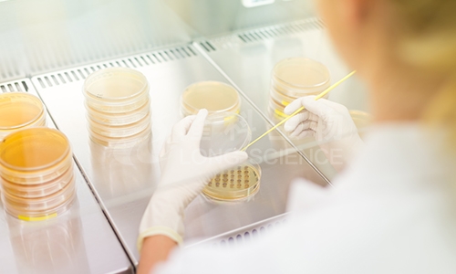 药物细胞毒性实验:浓度梯度设置的关键原则与优化策略