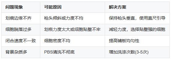 细胞划痕实验 