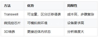 细胞划痕实验